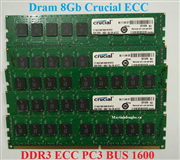 Bộ nhớ RAM Crucial 8Gb Ecc DDR3 Bus 1600